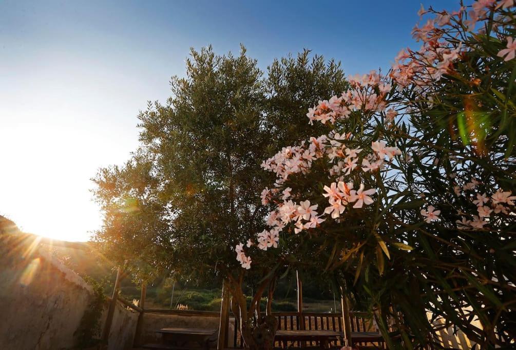 فيلا Casa Amado, Aldeia Da Pedralva فيلا دو بيسبو المظهر الخارجي الصورة